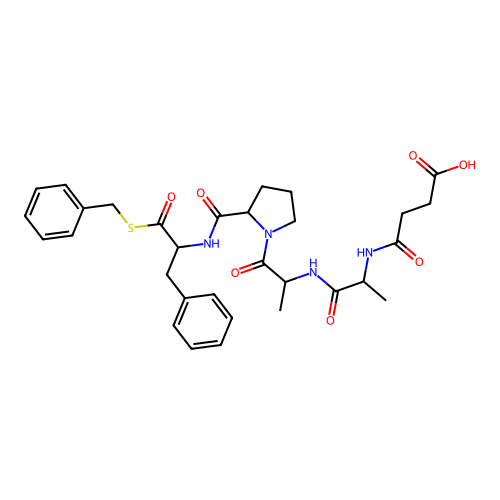 Carboxypeptidase B structure