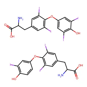 Thyreotom structure