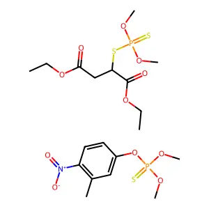 Ambithion structure