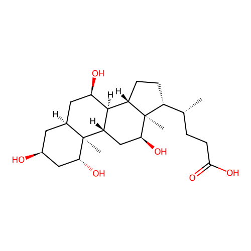 1beta-Hydroxycholic acid structure