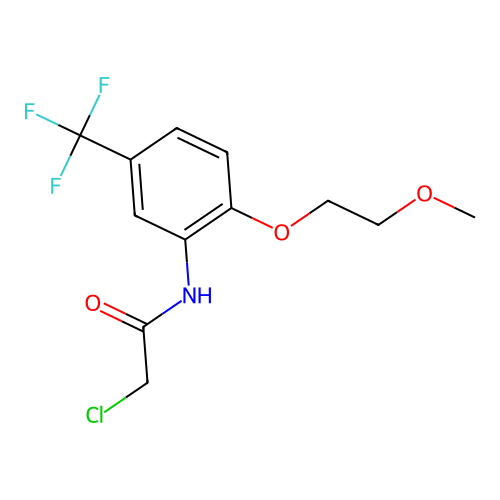 2-chloro-N-(2-(2-methoxyethoxy)-5-(trifluoromethyl)phenyl)acetamide structure