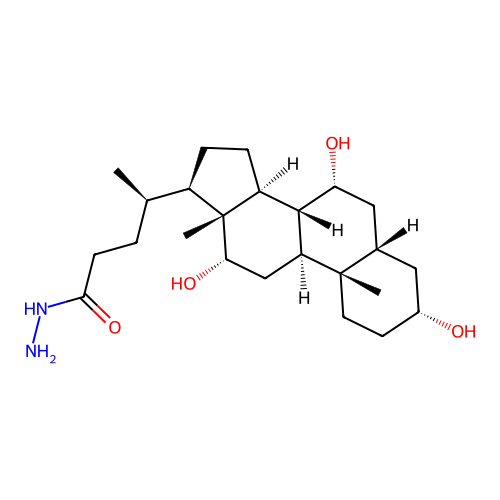 Cholylhydrazide structure
