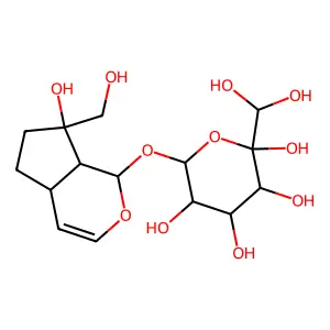 Paulownioside structure
