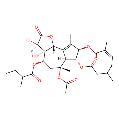Thapsitranstagin structure