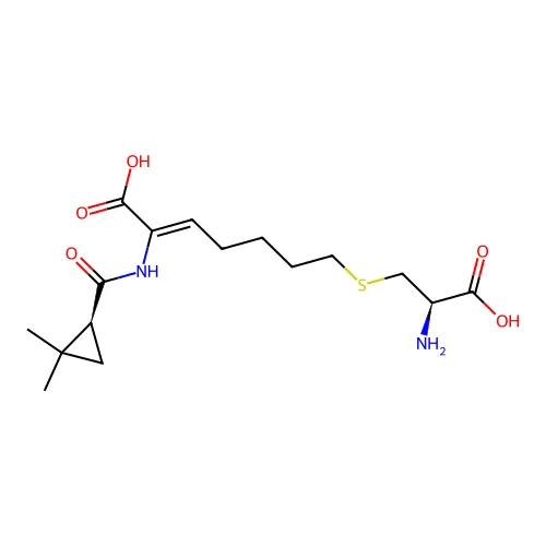 (Z)-7-[(2R)-2-氨基-2-羧基乙基]硫基-2-[[(1S)-2,2-二甲基环丙烷羰基]氨基]庚-2-烯酸 structure