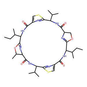 Patellamide A structure
