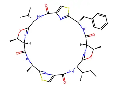 Patellamide C structure