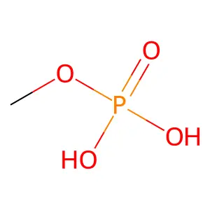 磷酸单甲酯 structure