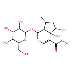 Pedicularioside structure