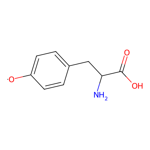 Tyrosinyl radical structure