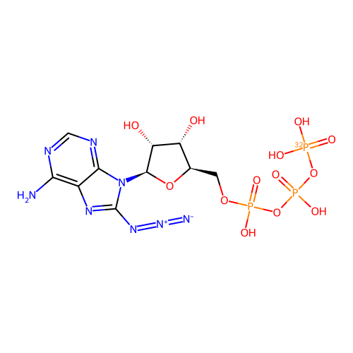 8-Azido-[gamma-32P]ATP structure