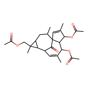RCK 136 structure
