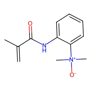 poly-N,N-dimethylaminophenylene methacrylamide N-oxide structure