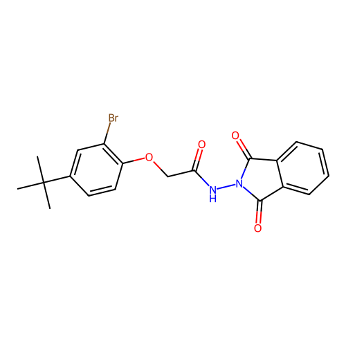 2-(2-bromo-4-tert-butylphenoxy)-N-(1,3-dioxo-1,3-dihydro-2H-isoindol-2-yl)acetamide structure