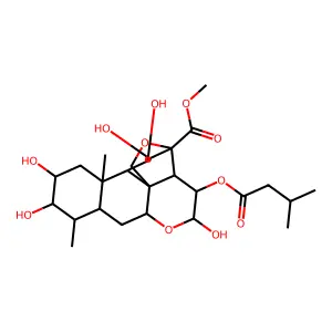 2-Hydroxy-2-deoxotetrahydrobrusatol lactol structure