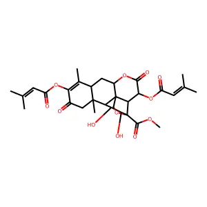 UV Endonuclease structure