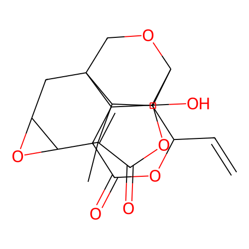 Salignone A structure