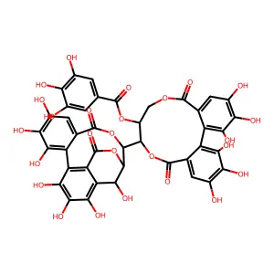 Stachyurin structure