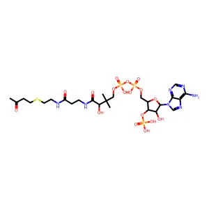 S-(3-oxobutyl)coenzyme A structure