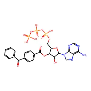 BzATP structure