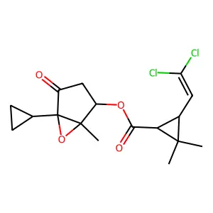 Cyclopropanecarboxylic acid, 3-(2,2-dichloroethenyl)-2,2-dimethyl-, 5-cyclopropyl-1-methyl-4-oxo-6-oxabicyclo(3.1.0)hex-2-yl ester structure