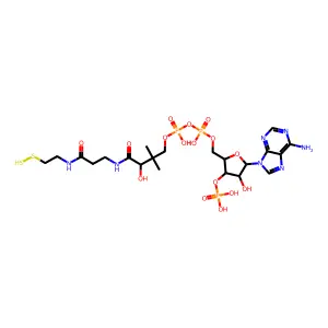 Coenzyme A persulfide structure