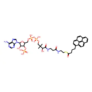 1-pyrenebutyryl-coenzyme A structure