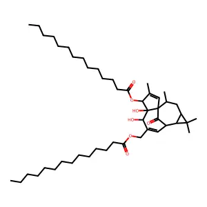 5,5a-dihydroxy-1,1,7,9-tetramethyl-11-oxo-4-[(tetradecanoyloxy)methyl]-1a,2,5,5a,6,9,10,10a-octahydro-1h-2,8a-methanocyclopenta[a]cyclopropa[e][10]annulen-6-yl tetradecanoate structure