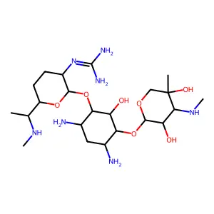 2'-guanidyl-2'-deaminogentamicin C1 structure