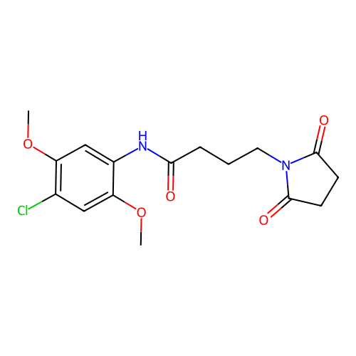N-(4-chloro-2,5-dimethoxyphenyl)-4-(2,5-dioxopyrrolidin-1-yl)butanamide structure