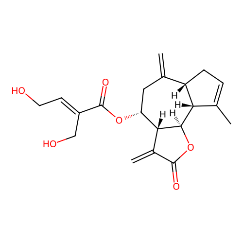 MEGxp0_001623 structure