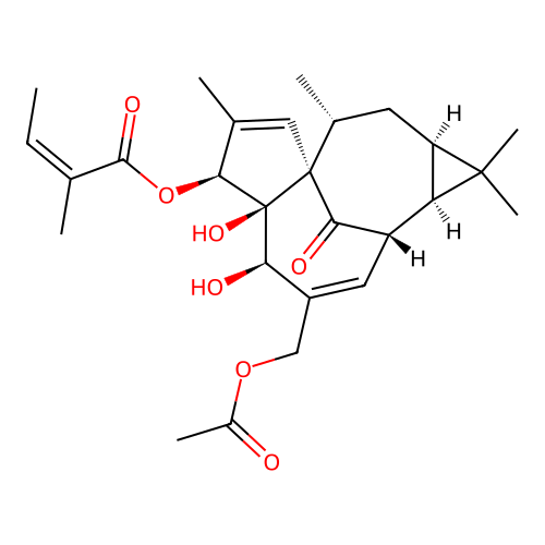20-O-Acetylingenol-3-angelate structure