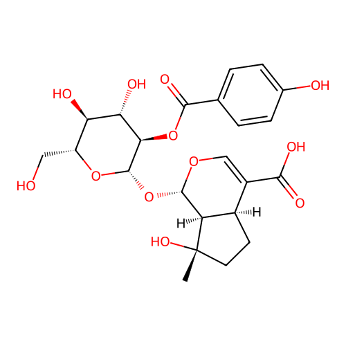 Negundoside structure