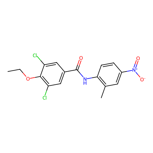 3,5-dichloro-4-ethoxy-N-(2-methyl-4-nitrophenyl)benzamide structure