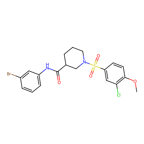 N-(3-bromophenyl)-1-(3-chloro-4-methoxyphenyl)sulfonylpiperidine-3-carboxamide structure