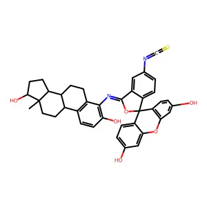 4-Amino-N-fluorescein isothiocyanate-17-estradiol structure