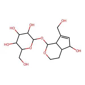 3,4-Dihydroaucubin structure