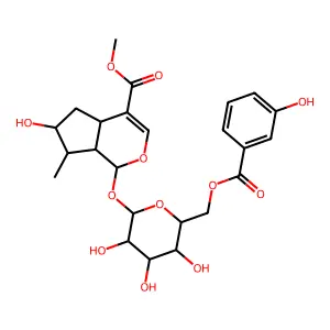 6'-(m-Hydroxybenzoyl)loganin structure