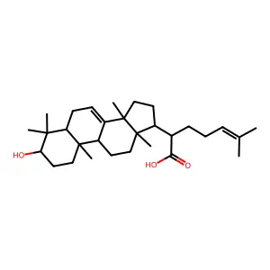 Elemolic acid structure