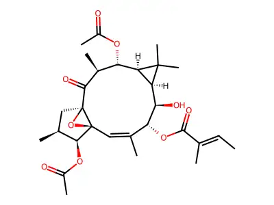 CTK3E9384 structure