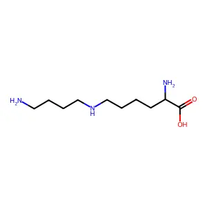 Deoxyhypusine structure