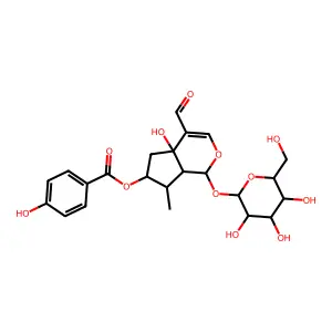 7-O-(p-Hydroxy)benzoyltecomoside structure