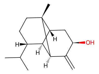 (1S,2S,4R,8S)-1-Methyl-3-methylidene-8-propan-2-yltricyclo[4.4.0.02,7]decan-4-ol structure