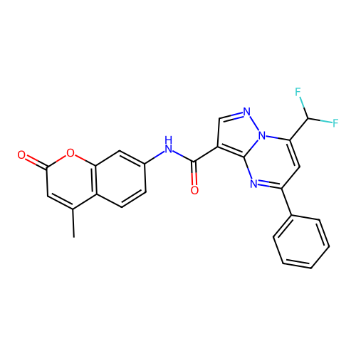 7-(difluoromethyl)-N-(4-methyl-2-oxo-2H-chromen-7-yl)-5-phenylpyrazolo[1,5-a]pyrimidine-3-carboxamide structure