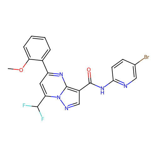 N-(5-bromopyridin-2-yl)-7-(difluoromethyl)-5-(2-methoxyphenyl)pyrazolo[1,5-a]pyrimidine-3-carboxamide structure