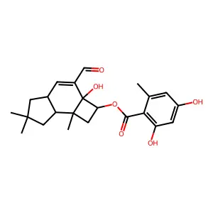 Melleolide structure