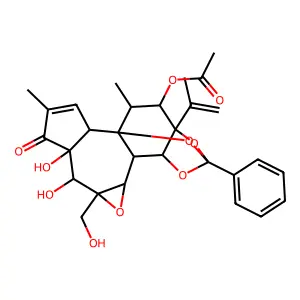 Yuanhuafin structure