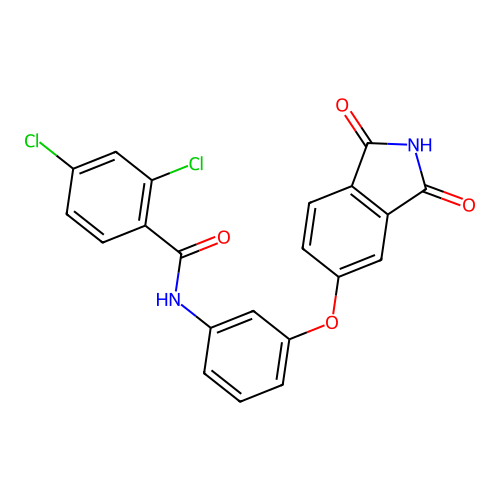 2,4-dichloro-N-[3-(1,3-dioxoisoindol-5-yl)oxyphenyl]benzamide structure