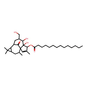 3-O-Tetradecanoylingenol structure