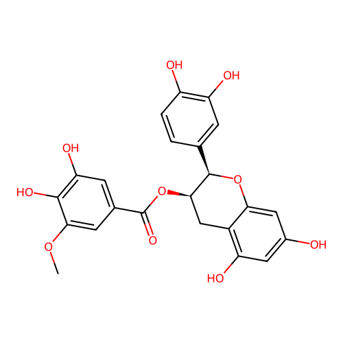 Epicatechin 3-O-(3-O-methylgallate) structure